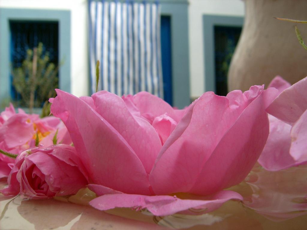 Guest house Dar Baaziz